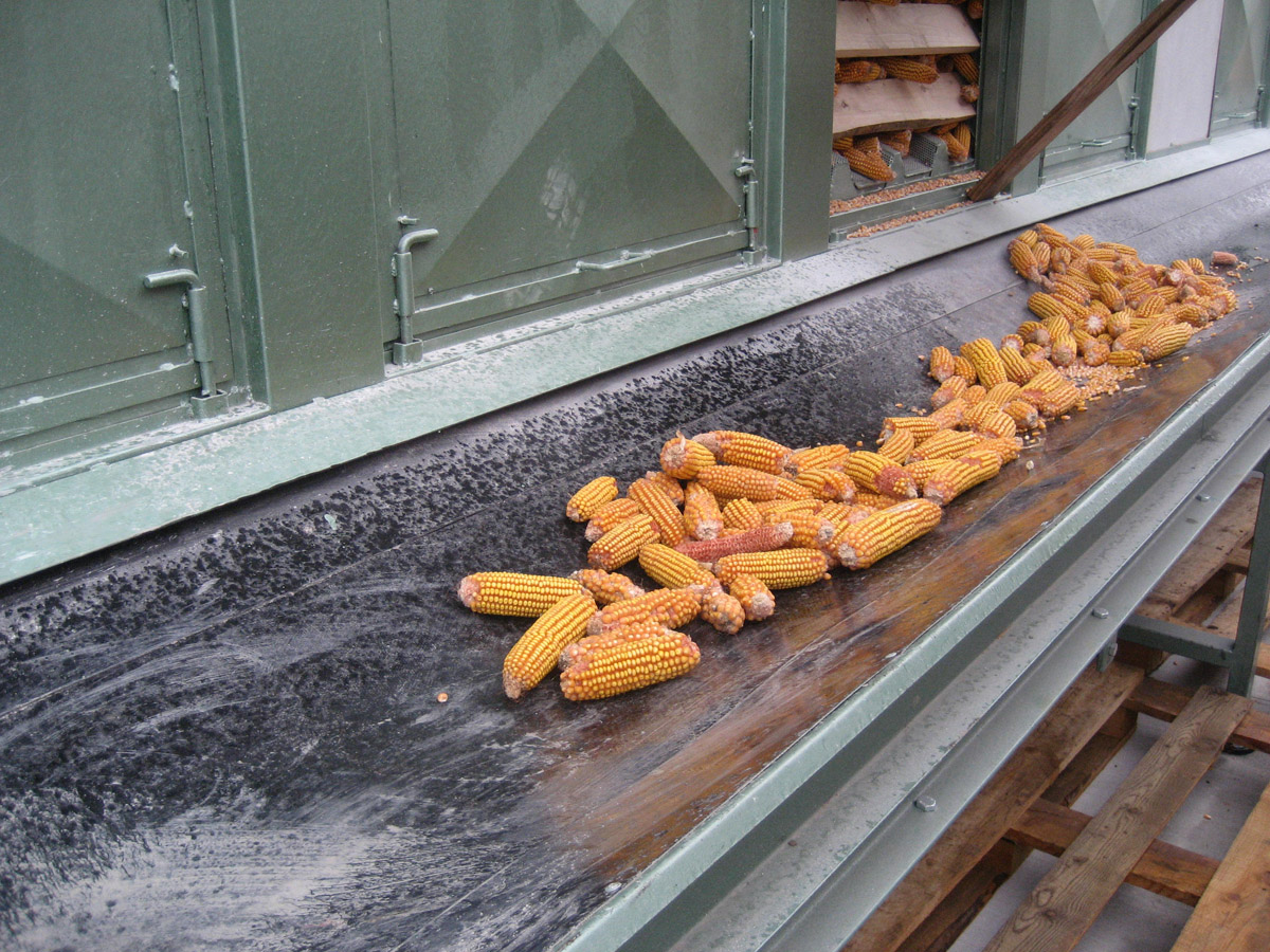 Bantlı Konveyörler